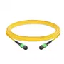 EFB-ELEKTRONIK MTP/APC Female do MTP/APC Female OS2 Jednomodowy Patchcord, 12 włókien, Typ B, LSZH, Żółty, 30m