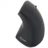 Equip 245110 Pionowa Ergonomiczna Mysz Bezprzewodowa - Praworęczna - 2.4 GHz - Odbiornik USB - Czarny