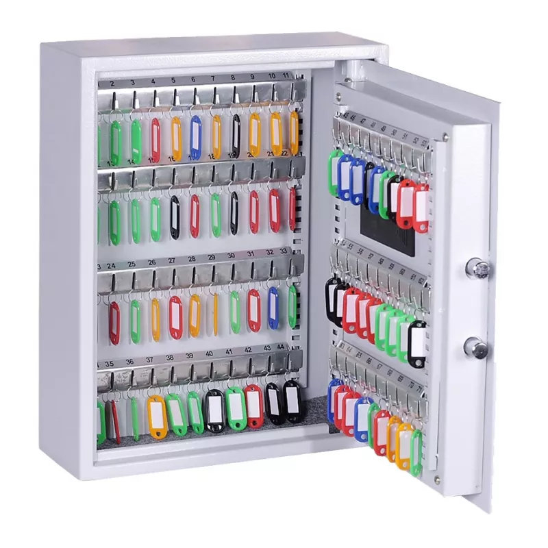 OLYMPIA GOsafe 50B Sejf na klucze z elektronicznym zamkiem szyfrowym, 50 haczyków, szary, do montażu ściennego, stal lita