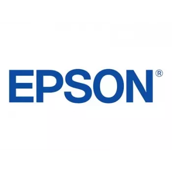 Epson 250 Light Cyan Oryginalny wkład atramentowy Blister