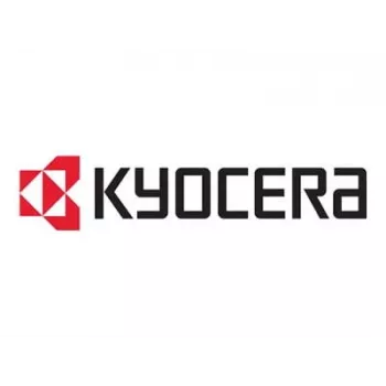 Kyocera DK-3170(E) Original Drum Unit - 300 000 stron