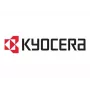 Kyocera DK-3170(E) Original Drum Unit - 300 000 stron