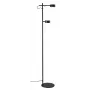 LED LENSER LUCA 2x4W Czarna Podłogowa Lampa LED