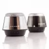 Evelatus ESP01 Bluetooth Speaker Silver