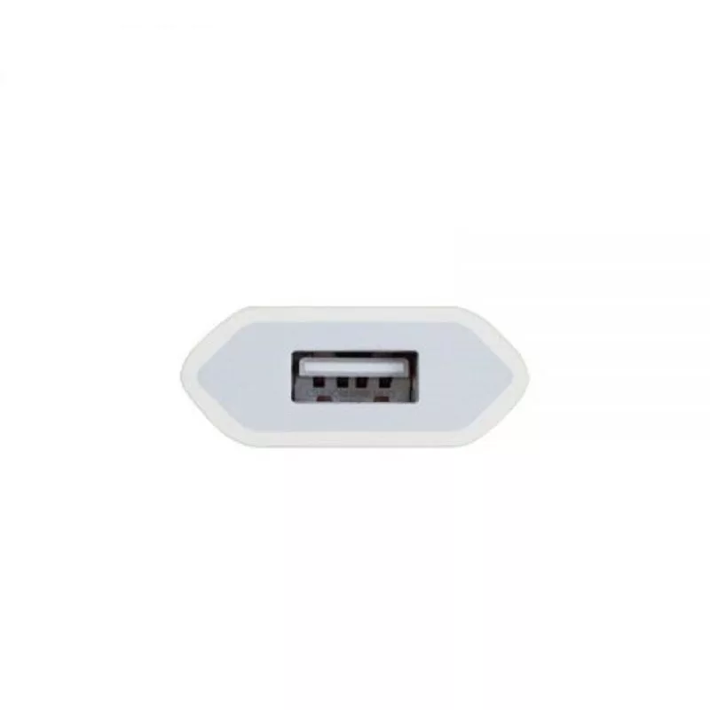 Apple MD813 A1400 iPhone 5W USB Power Adapter (Biały)