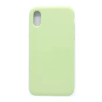 Evelatus Apple iPhone XR Premium Soft Touch Silicone Case Mint Green