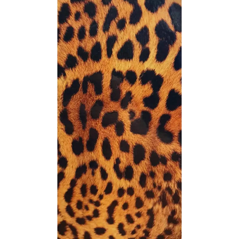 Evelatus Universal Leopard Colorful Film for Screen Cutter