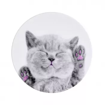 iLike Universal Pop Holder Cat - Szary Uchwyt i Podstawka do Telefonu