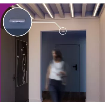 SATEL Bezprzewodowy Detektor Zasłonowy ACD-220-BR (Brązowy)