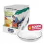 ANIMAL ISLAND NEW JELLY EVERYDAY 12x85g z miseczką