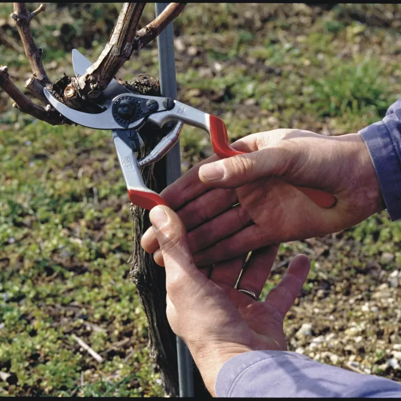 Felco 13 Classic One-Hand Pruning Shear - Bypass, 30mm Cutting Capacity, Forged Aluminum Handles