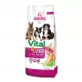 GDD Gold Dog Premium Vital Lamb & Rice Dry Dog Food 12kg