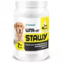 EWE EUROWET Wita-Vet Joints - Suplementy dla psów - 30 tabletek