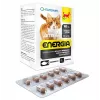 EWE EUROWET Wita-Vet Energia Multivitamin & Mineral Supplement for Cats - 120 Tablets
