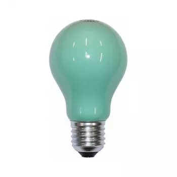 Scharnberger 40246 Żarówka 25W Zielona B60x105mm E27 240V