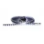 Synergy 21 LED Flex Strip 3528 - 80 SWW DC24V 24W LP IP68