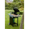 Barbecook Grill gazowy Spring 3112 z szafką, 115 x 55 x 133 cm