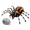 LEAN TOYS Zdalnie Sterowany Pająk Tarantula Infrared Black R/C ST