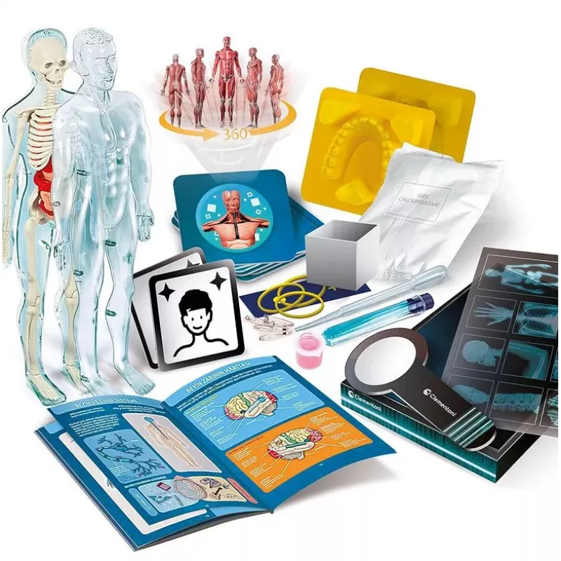 Clementoni Science & Play Super Anatomy Educational Science Kit 50919