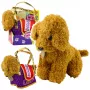 LEAN TOYS Poodle Dog w torbie na rzep, pluszowa zabawka, jasnobrązowy