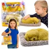 Figurka LEAN TOYS Śpiący Szczeniak Labrador na Poduszce z Futrem i Przezroczystą Torbą