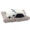LEAN TOYS Śpiąca Panda na Poduszce Figurka z Futrem i Przezroczystą Torbą