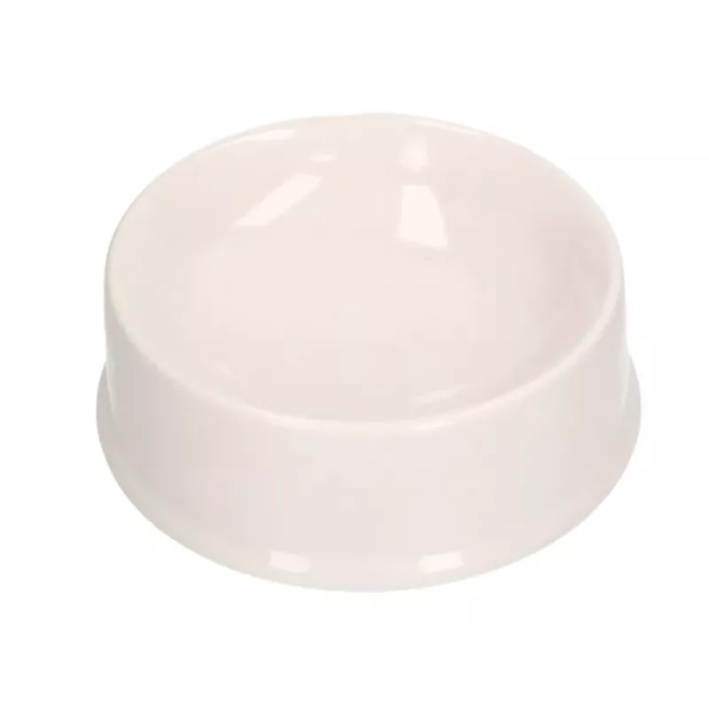 LEAN TOYS Zestaw Kreatywny Miska dla Psa do Malowania Farby Pędzle DIY 6 szt.
