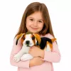 LEAN TOYS Pluszowy Beagle, Miękka Przytulanka, Piesek 25 cm