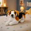 LEAN TOYS Pluszowy Beagle, Miękka Przytulanka, Piesek 25 cm