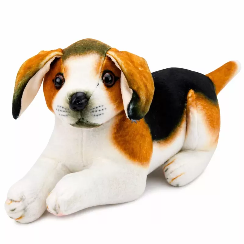 LEAN TOYS Pluszowy Beagle, Miękka Przytulanka, Piesek 25 cm