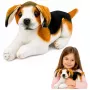 LEAN TOYS Pluszowy Beagle, Miękka Przytulanka, Piesek 25 cm