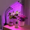 Lampa LED LEAN do uprawy i oświetlania roślin, potrójne moduły, klips