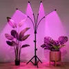 Lampa LED LEAN do uprawy roślin i oświetlania roślin, stojak 4-panelowy, pilot