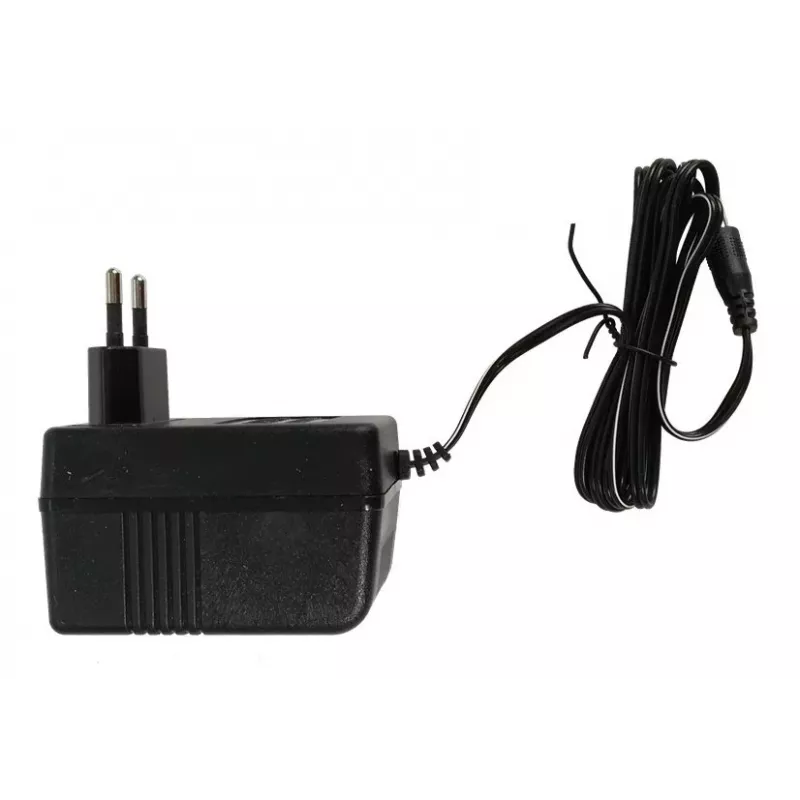 Ładowarka LEAN CARS do elektrycznego samochodu jeżdżącego 12V 1000mA LED