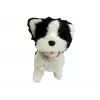 LEAN TOYS Dog on a Leash Interactive Dog Husky
