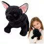 LEAN TOYS Pluszowy Piesek Buldog Francuski Czarny 22 cm