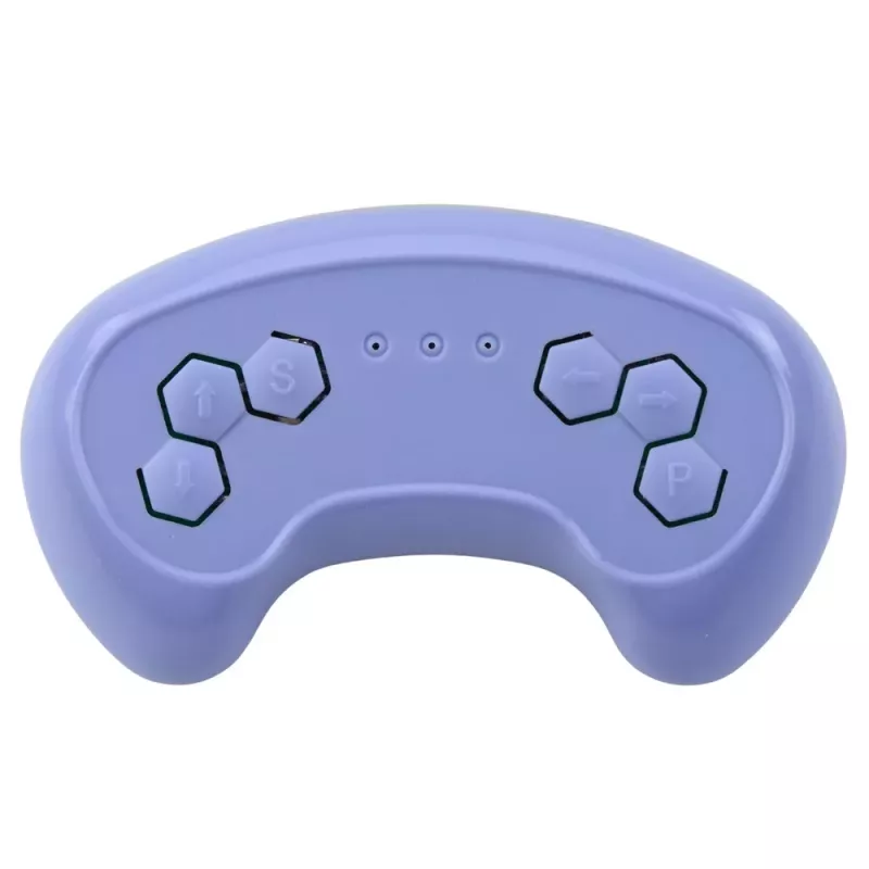 LEAN TOYS 2.4G Remote Control for WMT-666