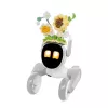 Dzianinowy strój dla Loona Premium Sunflower
