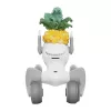 Dzianinowy kostium dla Loona Premium Pineapple
