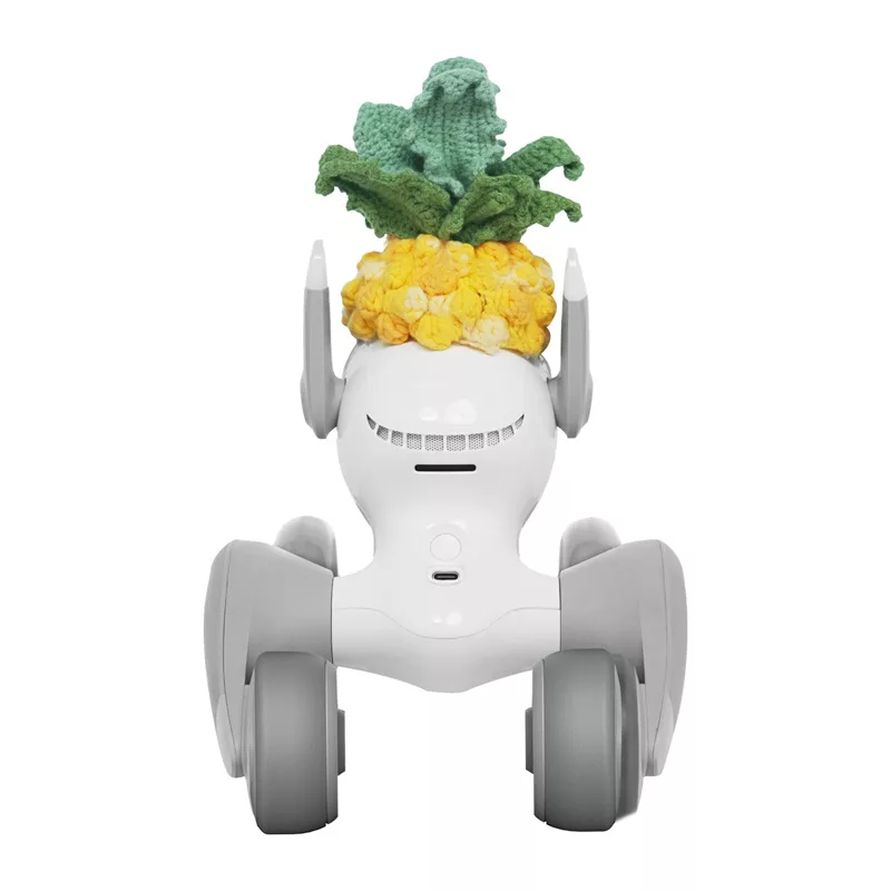 Dzianinowy kostium dla Loona Premium Pineapple