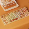 Klawiatura mechaniczna AKKO TAC87 Bun Wonder Tenkeyless - Multi-Mode RGB Hot-Swappable