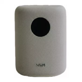 WiiM LPWISNDW Sound Smart Speaker, Biały