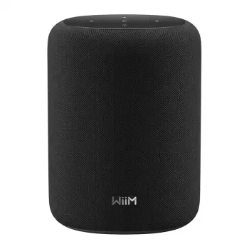 WiiM Sound LITE LPWISNDLB Czarny Smart Głośnik Hi-Res Multiroom