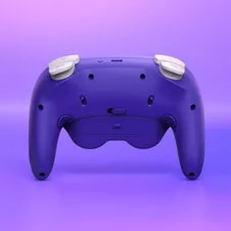 Kontroler NYXI Warrior Switch 1 & 2 - Fioletowy