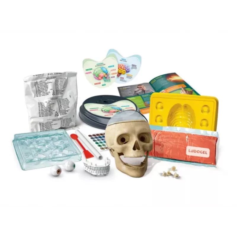 Clementoni Naukowa Zabawa Szalona Anatomia - Język polski - 50697