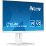 Iiyama ProLite XUB2492HSU-W5 23,8-calowy monitor Full HD IPS z hubem USB i regulacją wysokości