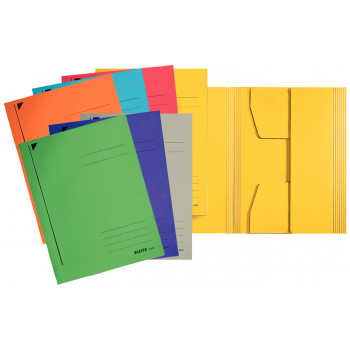 Leitz 3924 Teczka na dokumenty A4, mieszane kolory, 25 sztuk 39240099