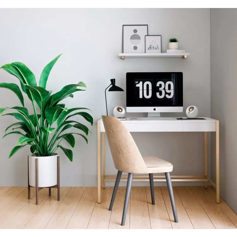 Creative Labs Pebble V3 Biały Przewodowy i Bezprzewodowy 10 W
