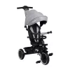 Baby Tricycle Lionelo Berry