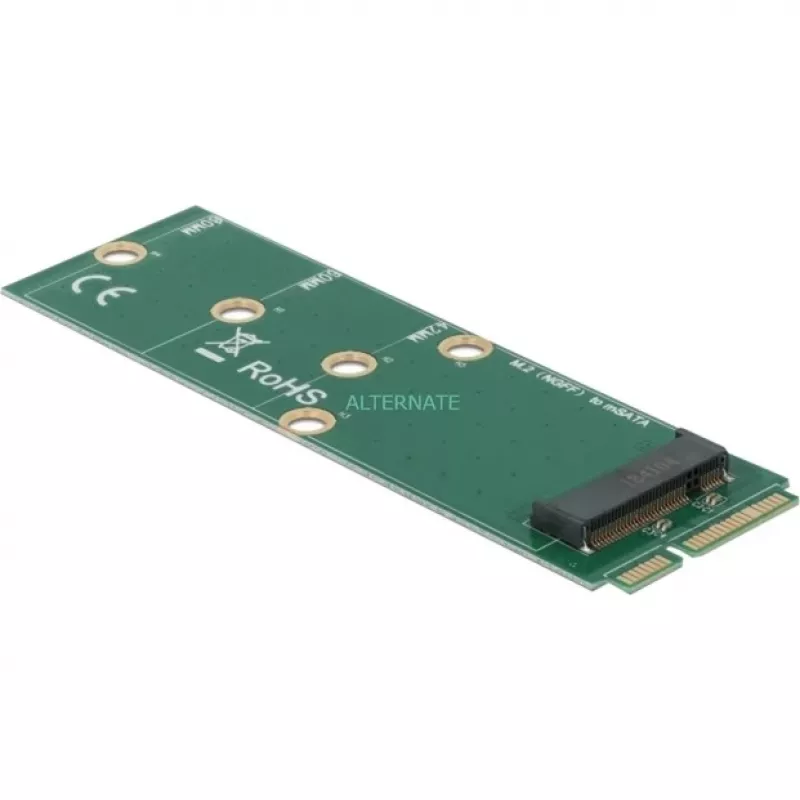 DeLOCK - Interface Adapter - M.2 - M.2 Card - mSATA (64109)